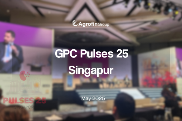 Agrofin dijo presente en Pulses 2025, el evento global más importante del sector de legumbres