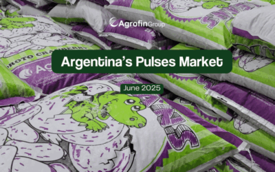 La campaña de porotos avanza en Argentina: primeras estimaciones, recorridas a campo y presencia institucional