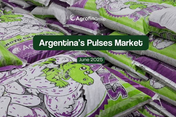 La campaña de porotos avanza en Argentina: primeras estimaciones, recorridas a campo y presencia institucional