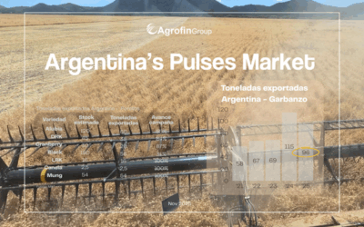 Actualización de Mercado – Noviembre 2025