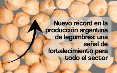 Nuevo récord para la producción de legumbres en Argentina: un impulso estratégico para Agrofin