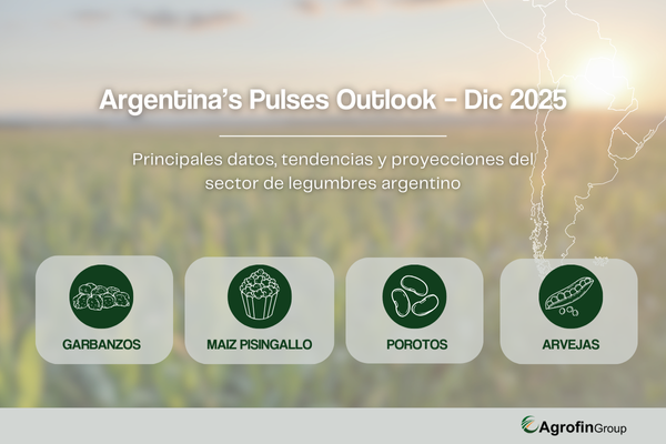 Perspectivas del Mercado de Legumbres en Argentina: Informe de Diciembre 2025